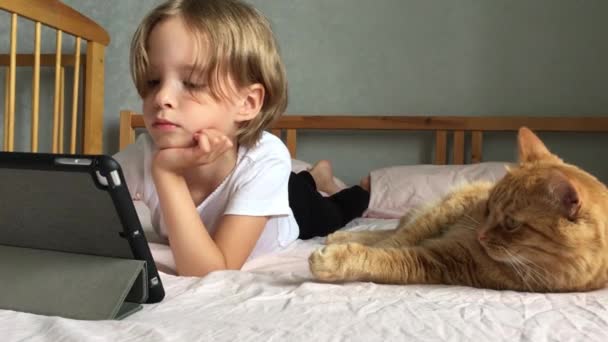 Una niña se acuesta en la cama y se comunica en línea. Un gato de jengibre gordo yace perezosamente al lado. Aprender en línea. Familia que llama — Vídeo de stock