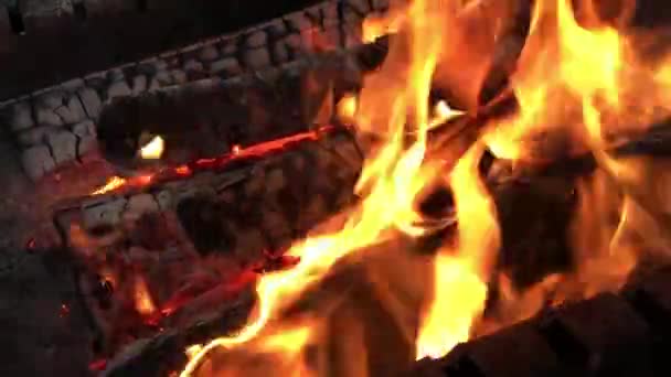 4k Bonfire burns in the summer forest, flames and coals on fire close-up in the evening night. — Stock Video