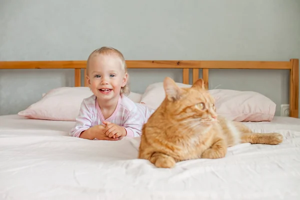 Uma menina fofa se senta na cama com um gato de gengibre gordo, acaricia e brinca com ele. — Fotografia de Stock