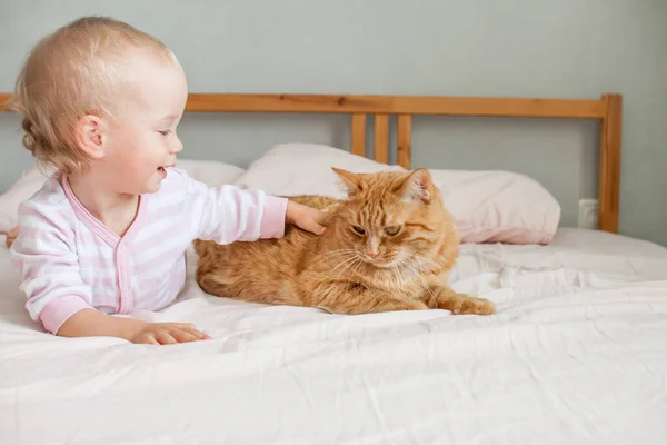 Uma menina fofa se senta na cama com um gato de gengibre gordo, acaricia e brinca com ele. — Fotografia de Stock