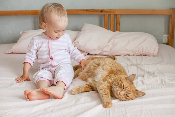 Uma menina fofa se senta na cama com um gato de gengibre gordo, acaricia e brinca com ele. — Fotografia de Stock