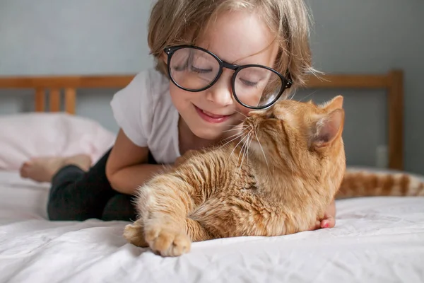 Klein meisje met bril ligt op het bed en knuffelt een dikke gember kat. — Stockfoto