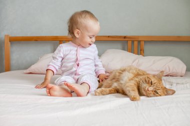 Küçük tatlı bir kız, şişman bir zencefilli kediyle yatakta oturur, okşar ve onunla oynar.