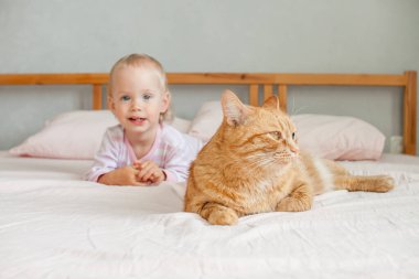 Küçük tatlı bir kız, şişman bir zencefilli kediyle yatakta oturur, okşar ve onunla oynar.