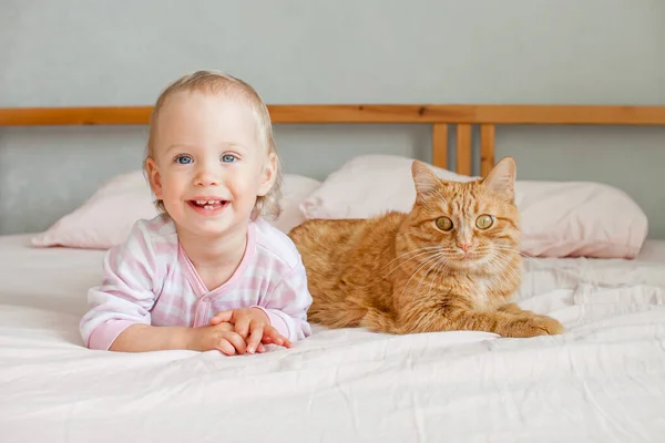 Uma menina fofa se senta na cama com um gato de gengibre gordo, acaricia e brinca com ele. — Fotografia de Stock