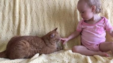 Küçük kız büyük kızıl bir kediyle oynuyor.