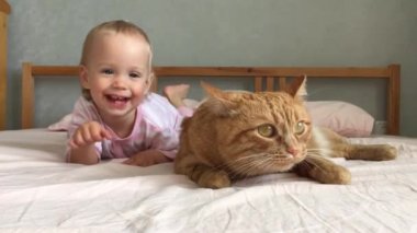Little girl sits on the bed and plays with a fat ginger cat