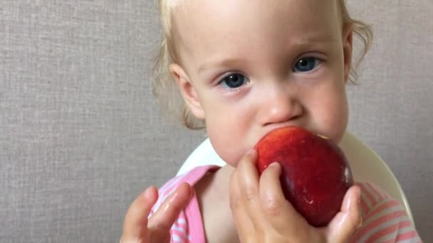 Little girl tastes and eats juicy nectarine with pleasure and interest — Stock Video