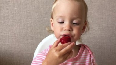 Küçük kız zevk ve ilgiyle çilek yer ve yer.