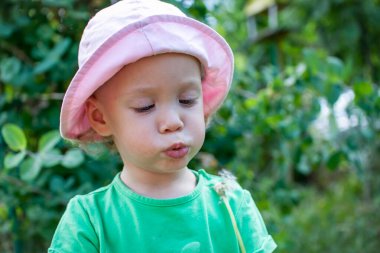 Yeşil tişörtlü ve pembe panamalı küçük bir kız yazın parkta yürür ve karahindibaların tüylerini yolar.