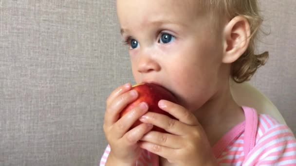 Pequena menina saboreia e come nectarina suculenta com prazer e interesse — Vídeo de Stock