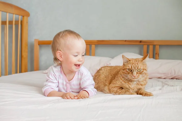 Uma menina fofa se senta na cama com um gato de gengibre gordo, acaricia e brinca com ele. — Fotografia de Stock