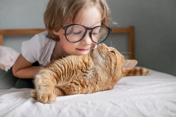 Klein meisje met bril ligt op het bed en knuffelt een dikke gember kat. — Stockfoto