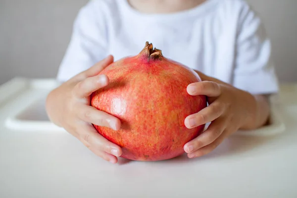 Küçük bir çocuğun elinde nar meyvesi, yakın plan. Yeni Yahudi yılının sembolü. Rosh Hashana.