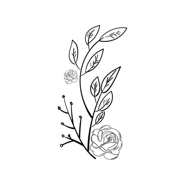 Hand Drawn Botanical Leaf Doodle Wildflower — Stock Photo, Image