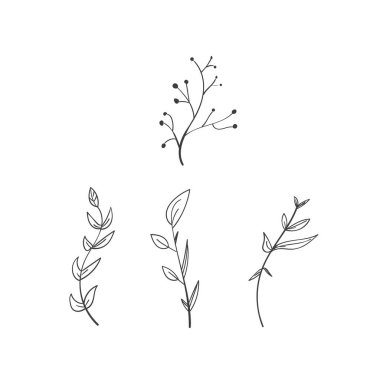 Klasik çiçek elementleri kümesi karalama vektörü. Elementler çiçekler, dallar, yumruklar ve serpilmeler