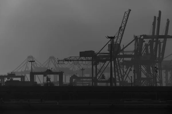 Harbor Cranes Look Ghostly Figures Fog Winter Morning — Stock Photo, Image