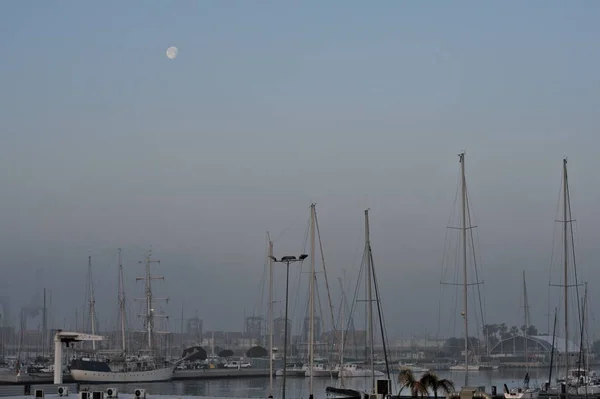 Valencia Marina Dock Mit Segelbooten Temporäres Zelt Für Veranstaltungen Etwas — Stockfoto