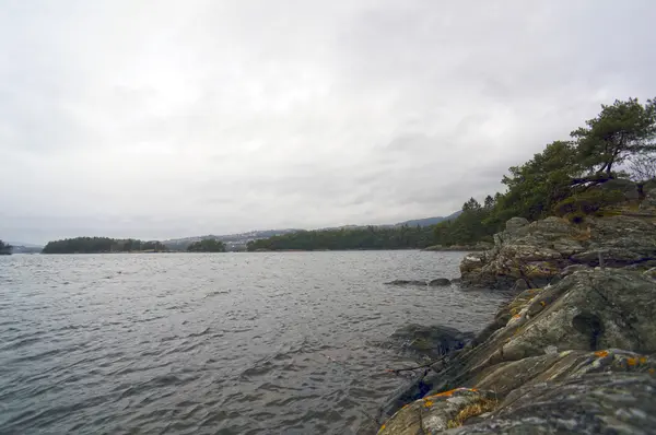 노르웨이 피 요 르 드와 산입니다. 해안, 파도 및 나무입니다. 베 르 겐 — 스톡 사진