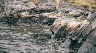 Kayalık sahil ve dalgalar. Bergen, Norveç