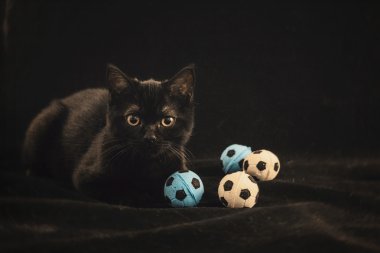 Siyah bir kedi yavrusu siyah bir arka plan üzerinde küçük futbol ile yatıyor