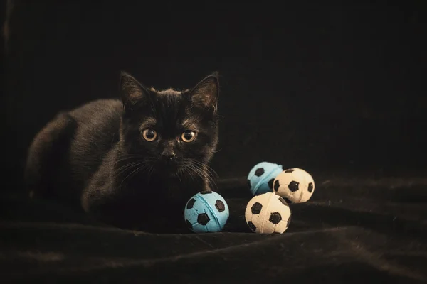 Un gattino nero è sdraiato con piccoli palloni da calcio su uno sfondo nero — Foto Stock