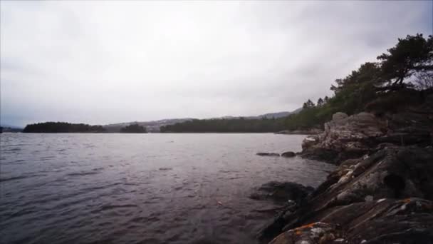 Norwegian fjords and mountains. Rocky shore, waves and trees. Bergen, Norway. May 2013 — Wideo stockowe