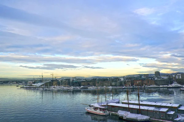 Oslo ve Oslo Fiyordu görünümünü. Norveç