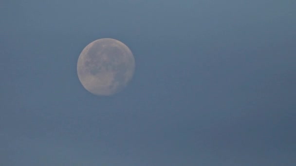 La pleine lune se déplace dans le ciel nocturne nuageux — Video