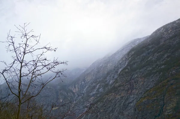 挪威的峡湾和山 — 图库照片