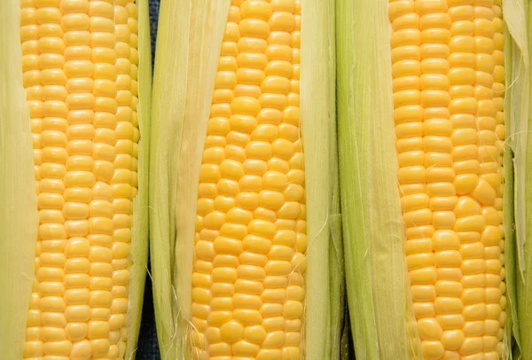 Several young corncobs — Stock Photo, Image