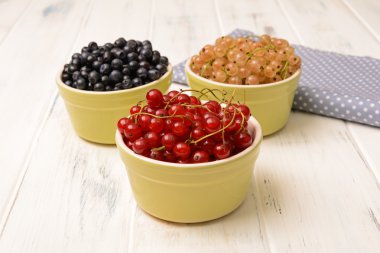 Kırmızı kuş üzümü ve diğer meyveler