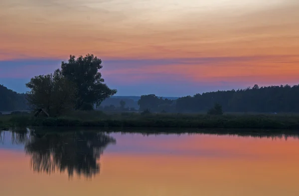 Gün batımı göl ve bir ağaç üzerinde — Stok fotoğraf