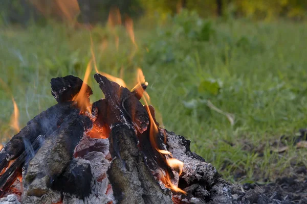 Il fuoco nella foresta — Foto Stock