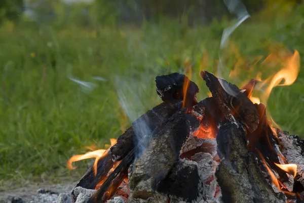 Elden i skogen — Stockfoto