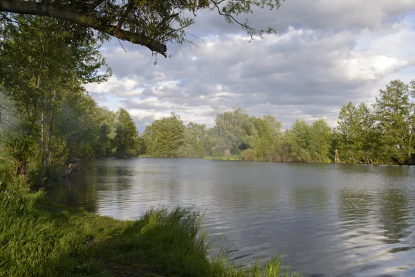 Sungai di hutan — Stok Foto