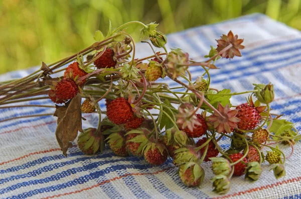 Wild strawberry on a napkin — Stock Photo, Image