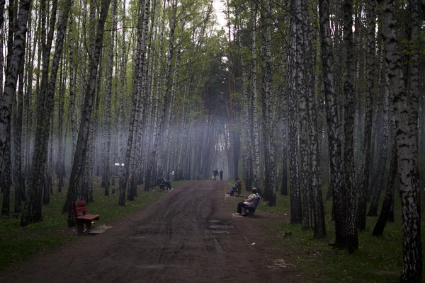 Gente en el parque de otoño con niebla —  Fotos de Stock