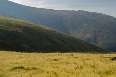 Yalnız bir ağaç dağlarda yukarıda gökyüzü