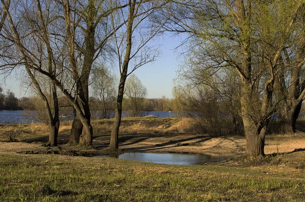 Puesta de sol de otoño en el río entre los árboles —  Fotos de Stock