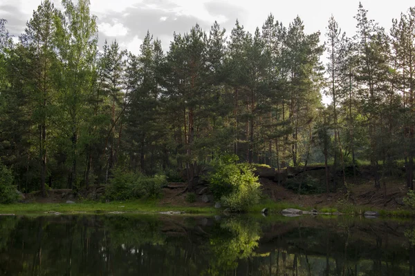 Lac dans le canyon de pierre entouré par la forêt — Photo