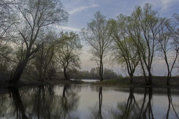 Rivier in het bos — Stockfoto