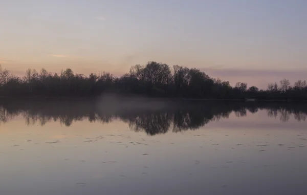 Magische nevel over de rivier en het bos — Stockfoto