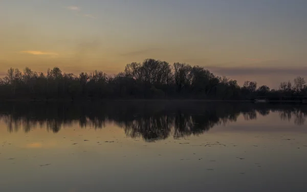 Nehir ve orman üzerinde sihirli sis — Stok fotoğraf