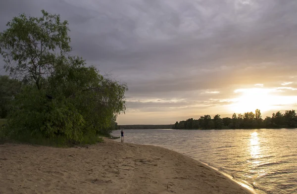 Пляж на річці на заході сонця з деревами — стокове фото
