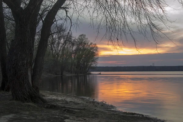 Zaubernebel über dem Fluss und dem Wald — Stockfoto