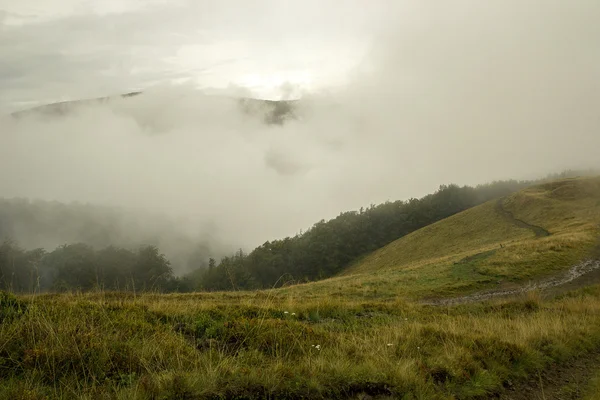 Brume blanche épaisse dans les montagnes — Photo