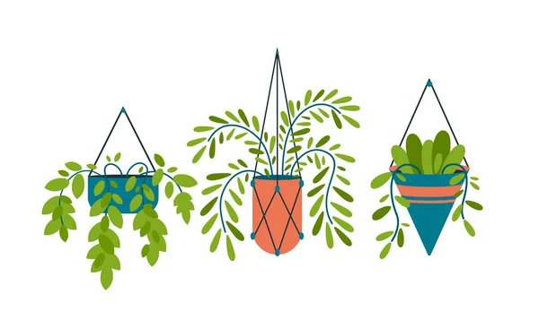 Hängande dekorativa krukor med växter. Interiör geometrisk dekoration av rum och trädgård — Stock vektor