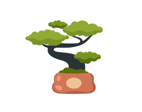 Декоративное дерево бонсай. извивающееся внутреннее растение с зелеными ветвями в глиняном горшке — стоковый вектор