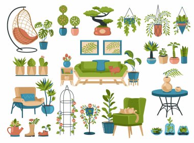 Dekoratif iç mekanlarda ev bitkileri. Egzotik doğal çiçekli minimalist çömlekler.